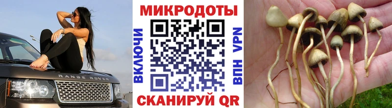 Псилоцибиновые грибы ЛСД  Богородицк 