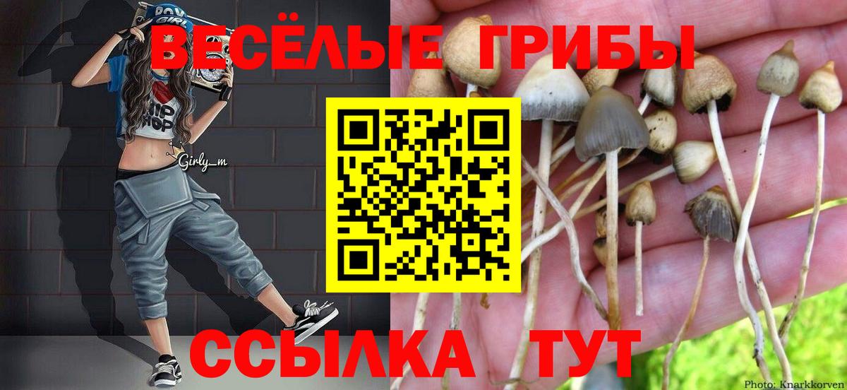 Псилоцибиновые грибы Magic Shrooms Богородицк
