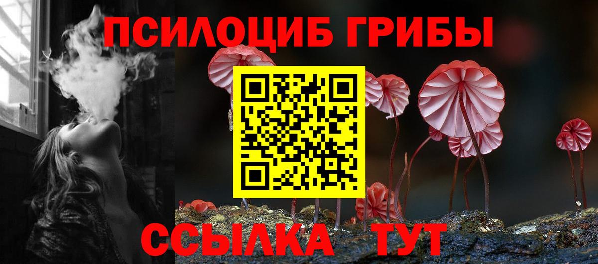 Богородицк  Псилоцибиновые грибы GOLDEN TEACHER  где купить наркоту  Галлюциногенные грибы мицелий  Вход с VPN 