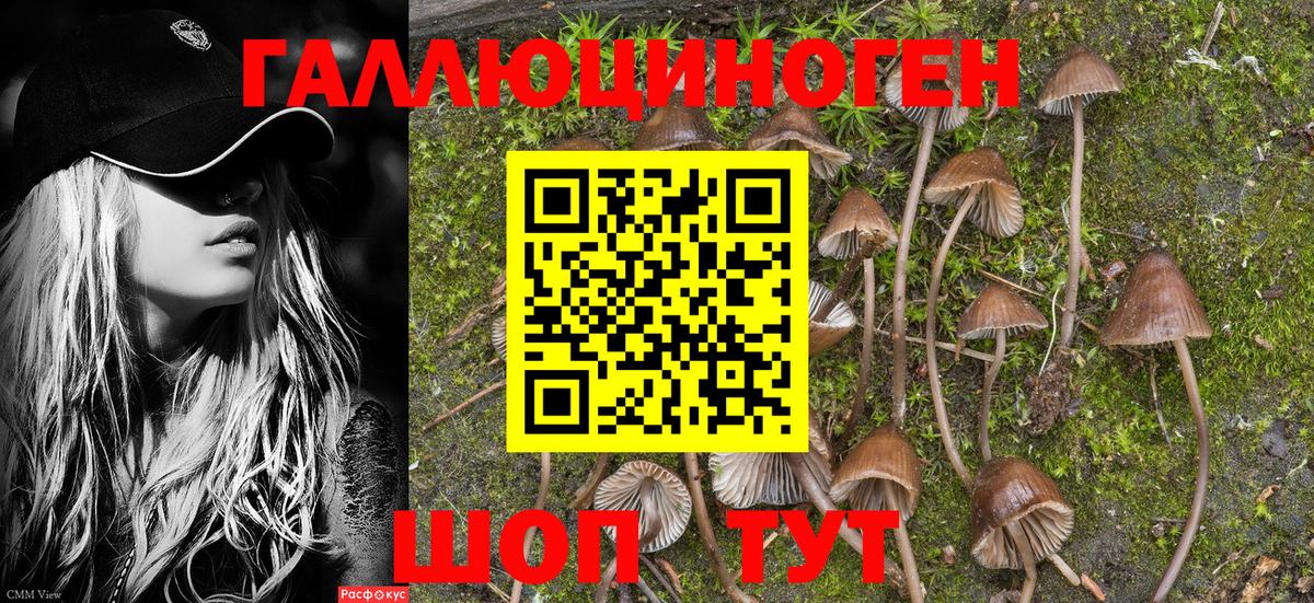 Псилоцибиновые грибы Cubensis  где купить наркоту  Богородицк 