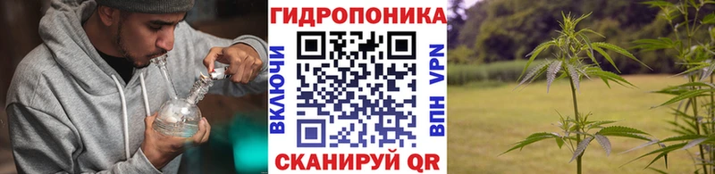Бошки марихуана Ganja Богородицк