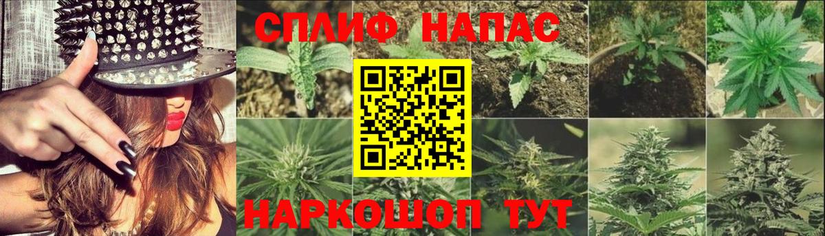 МАРИХУАНА индика Богородицк